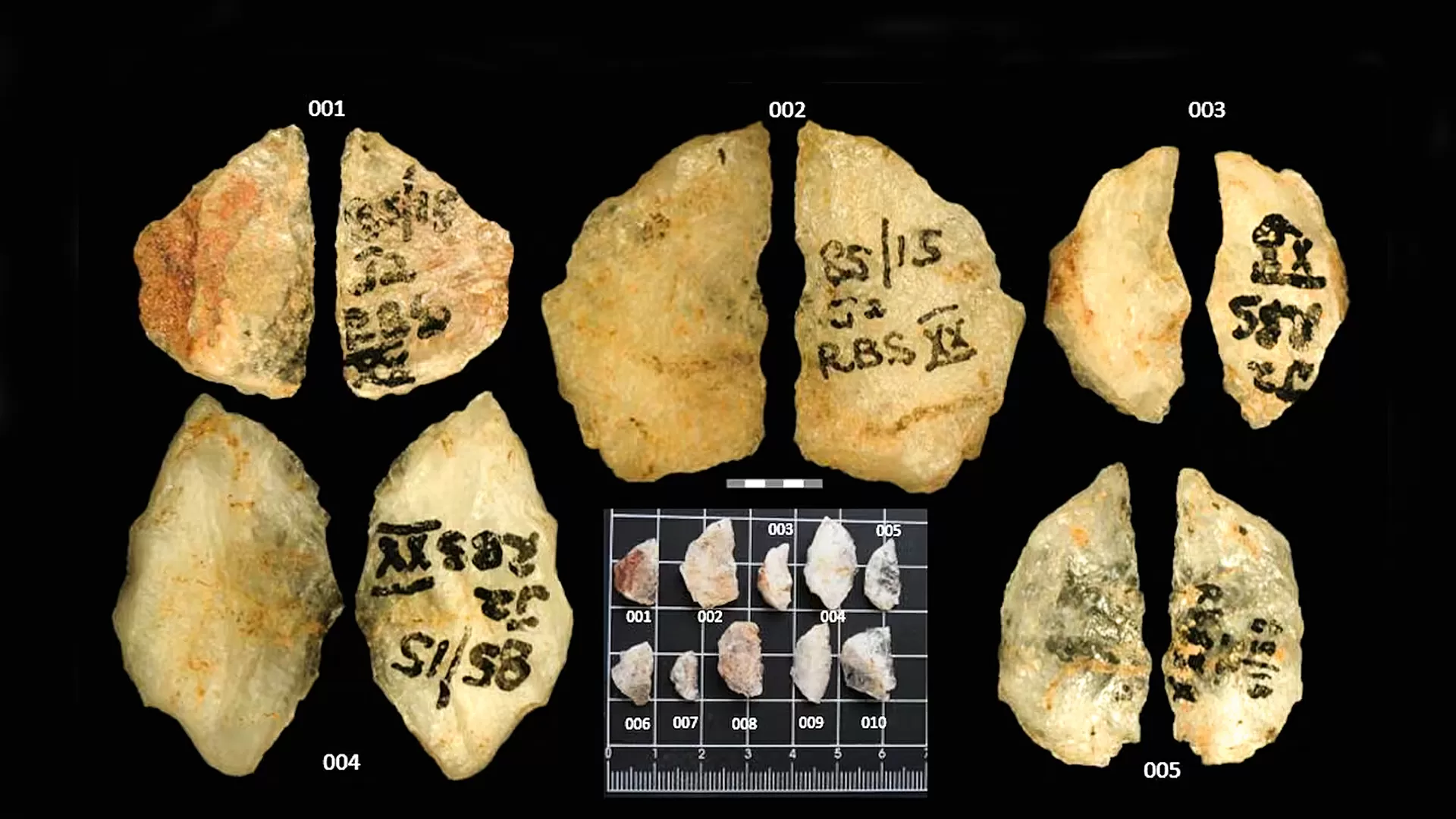 Descoberta indica que os primeiros humanos anteciparam as ‘guerras químicas’