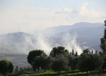 Hezbollah reivindica sete ataques contra posições militares israelitas