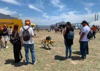 ‘Cachorro do Alok’ fica à solta no Rock in Rio Lisboa