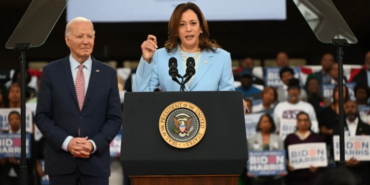 De Katy Perry a Ariana Grande: os astros que irão apoiar Kamala Haris