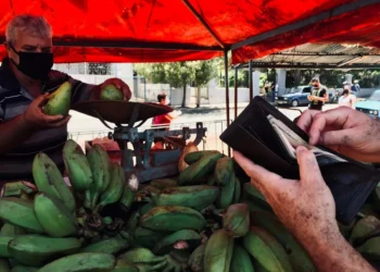 “Economia: Estudo da produção e consumo na sociedade”