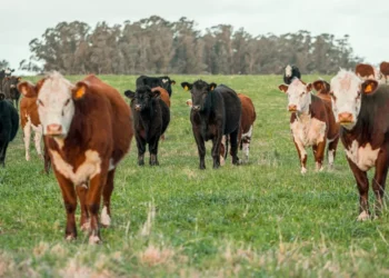 “A Importância da Educação para o Crescimento Nacional”