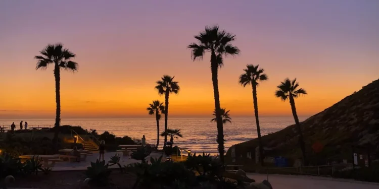 “A Importância do Autocuidado na Socieda Atual”