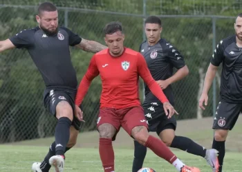 Palmeiras x Portuguesa: confira informações e prováveis escalações