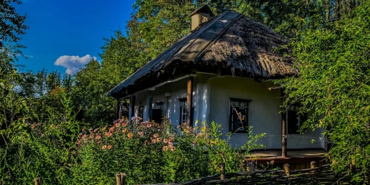 “A Importância da Economia na Sociedade”