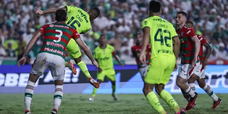 Vidente prevê boa chance de vitória da Portuguesa contra o Palmeiras