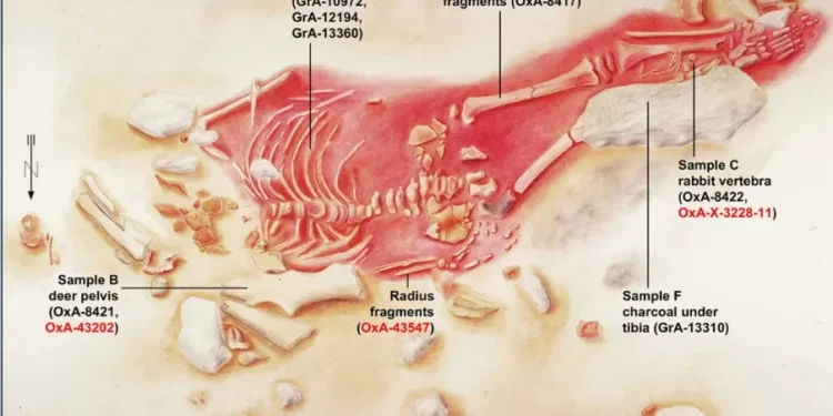 Esqueleto de criança com traços humanos e neandertais é datado pela primeira vez