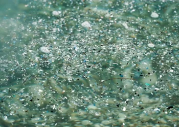 Microplásticos contaminam áreas marinhas protegidas no Brasil