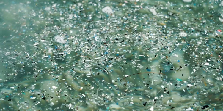 Microplásticos contaminam áreas marinhas protegidas no Brasil