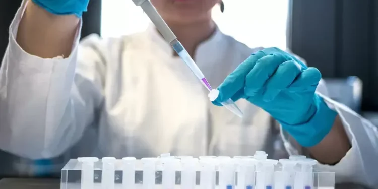 Pesquisadora do Instituto Nacional do Câncer recebe prêmio no CNPq