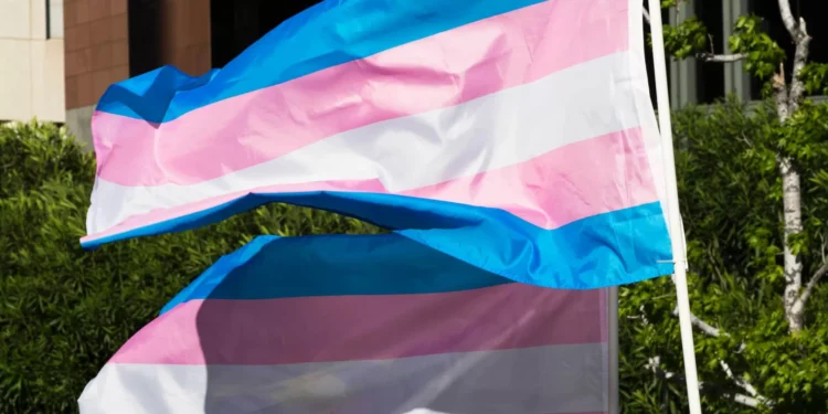 Juiz bloqueia ordem sobre instituições de cuidados a jovens transgénero