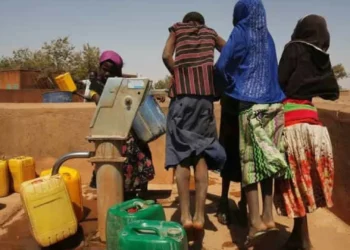 ONG denuncia expulsão de ativistas e jornalista no Saara Ocidental