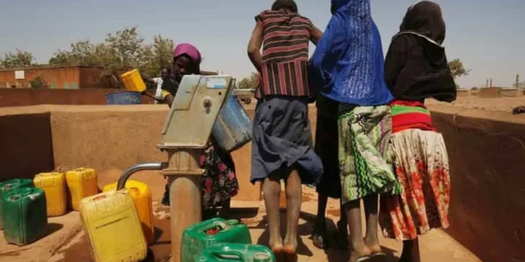 ONG denuncia expulsão de ativistas e jornalista no Saara Ocidental