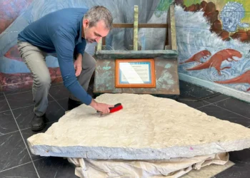 Pegadas de dinossauro são encontradas em escola da Austrália