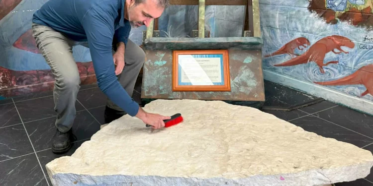 Pegadas de dinossauro são encontradas em escola da Austrália