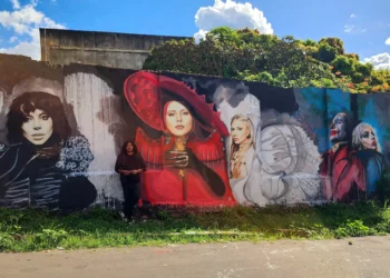 Obra de brasileiro é usada por Lady Gaga em divulgação de seu novo álbum