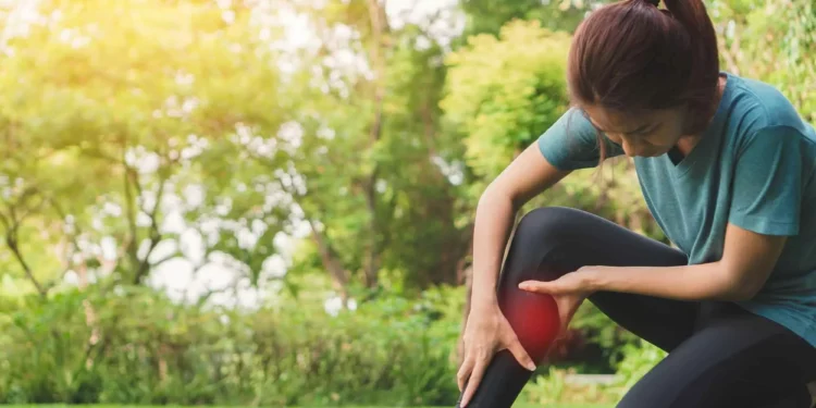 Exposição à natureza pode diminuir sensação de dor, diz estudo