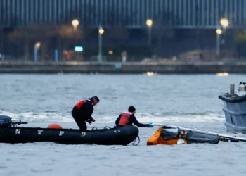 Autoridades investigam relatos de aves no local da queda de helicóptero