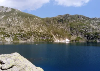 Pesquisadores revelam quando e como peixes foram parar em lagos de montanha