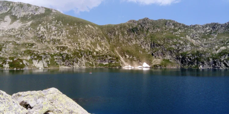 Pesquisadores revelam quando e como peixes foram parar em lagos de montanha
