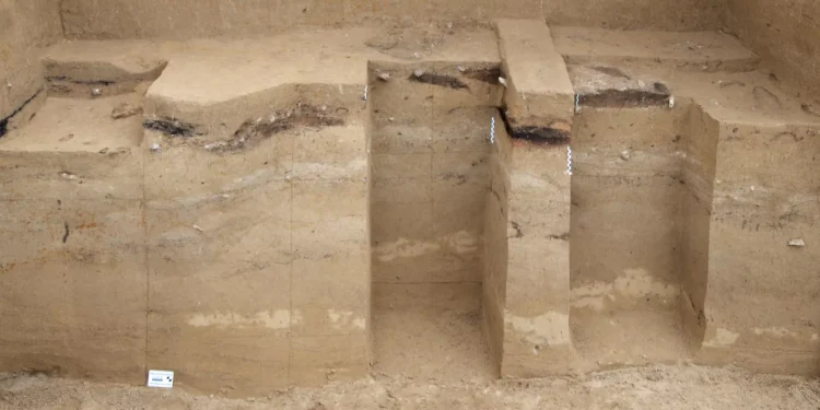 Primeiros humanos passaram pela Era Glacial com técnica “avançada” para a época