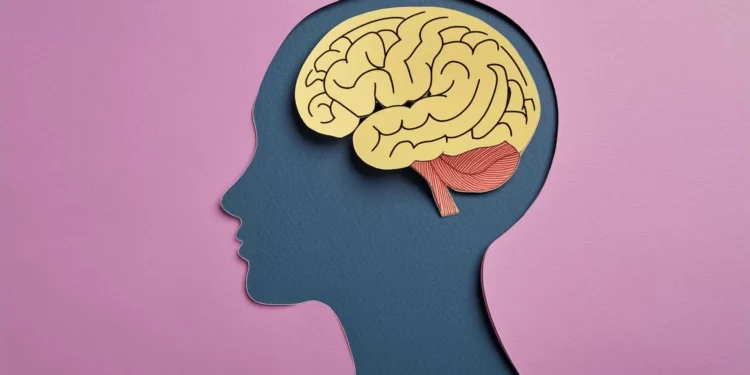 Estes hábitos podem prevenir o declínio cognitivo do seu cérebro