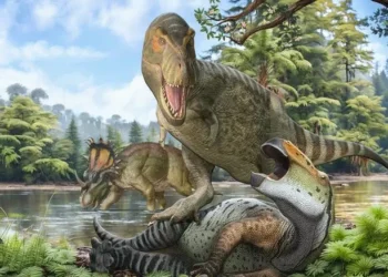 Saiba como ancestrais do T-Rex foram da Ásia para a América do Norte, segundo estudo