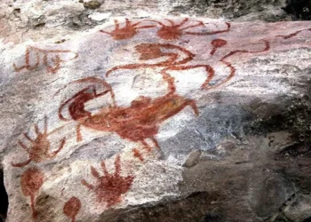 Desmatamento ameaça mais de uma centena de sítios arqueológicos no Brasil