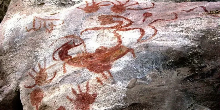 Desmatamento ameaça mais de uma centena de sítios arqueológicos no Brasil