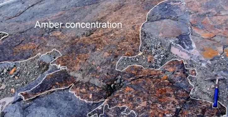 Qual a relação entre âmbar e tsunamis na pré-história do Japão?