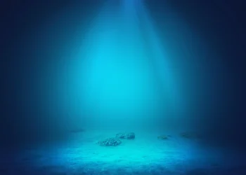 Estudo mostra que sabemos quase nada sobre o fundo do mar