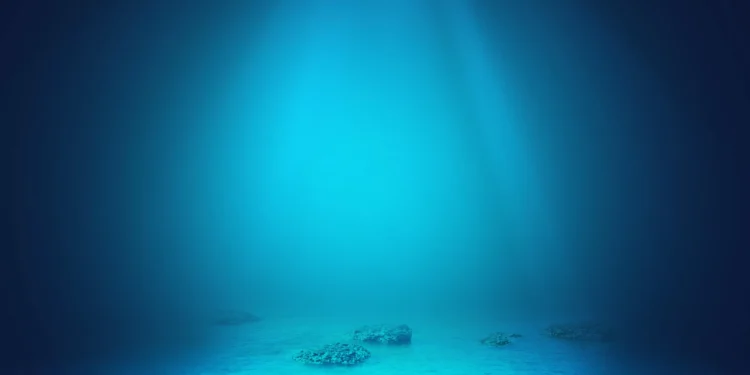 Estudo mostra que sabemos quase nada sobre o fundo do mar