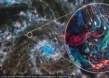 Simulação inédita revela como nasce uma estrela no caos do espaço