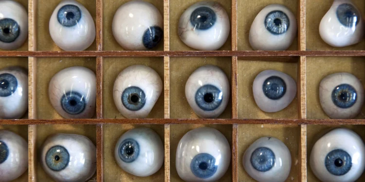 Cientistas criam materiais artificiais que integram células vivas e imitam a natureza