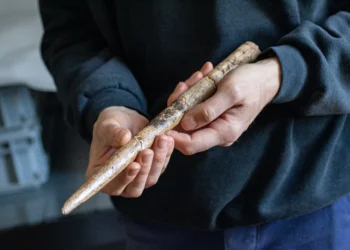 Armas feitas com ossos de baleia há 20 mil anos são encontradas em caverna