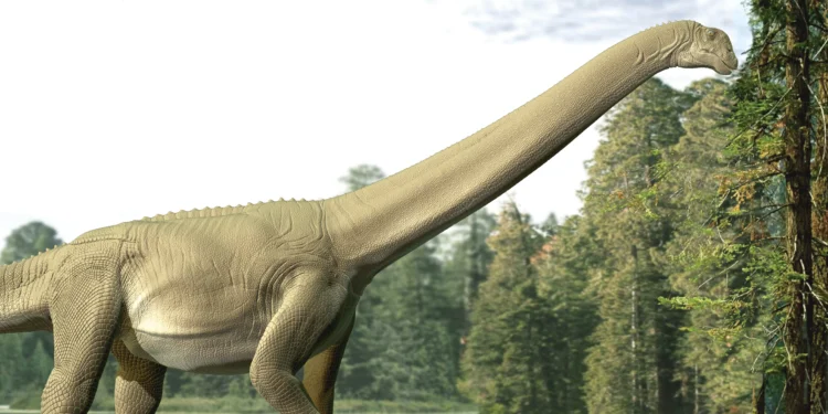 Fóssil raro revela a última refeição de um dinossauro gigante