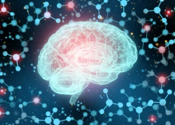 Como o cérebro separa realidade e fantasia? Estudo revela resposta inédita