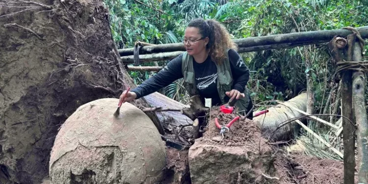Urnas funerárias milenares lançam luz sobre rituais indígenas ancestrais no Amazonas