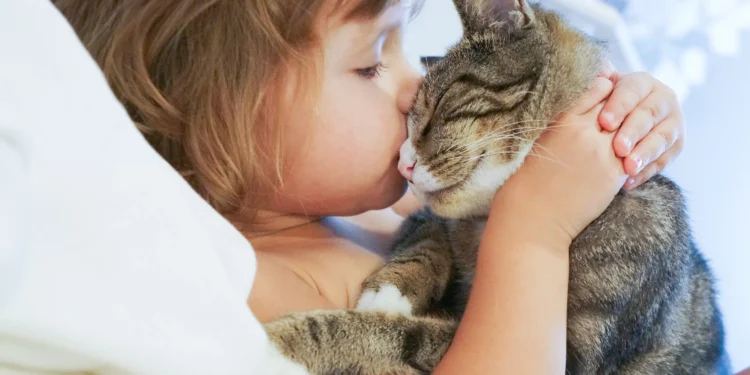 Seu gato reconhece você pelo cheiro? A ciência diz que sim