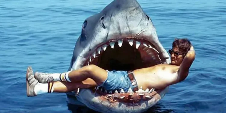 O efeito colateral do sucesso do filme ‘Tubarão’ para uma espécie inteira