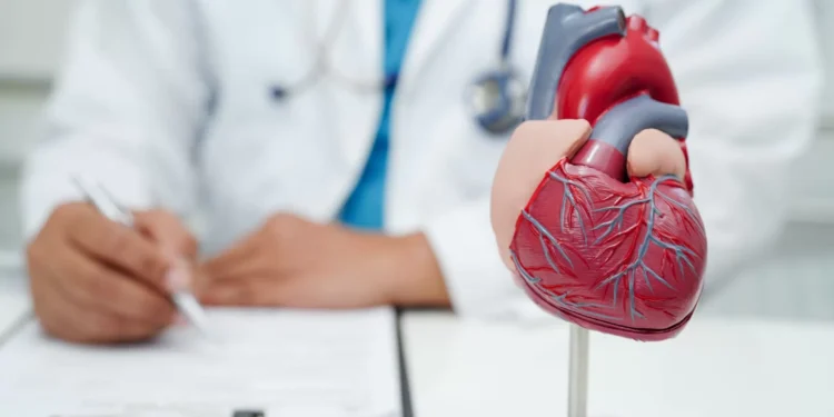 Quantos litros de sangue tem o corpo humano?