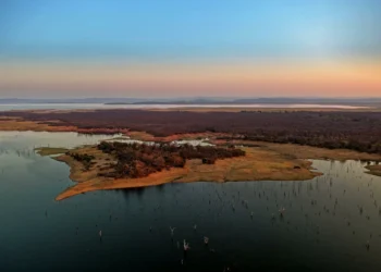 Estudo mostra em que momento os humanos aprenderam a se mudar
