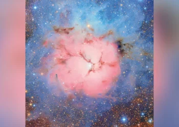 O sonho da noite estrelada