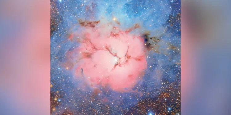 O sonho da noite estrelada