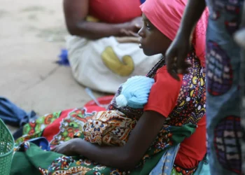 Cerca de 50 mil famílias necessitam de apoio alimentar em Moçambique