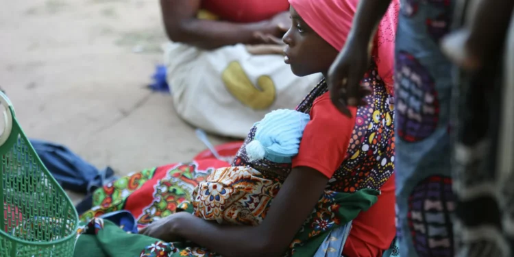 Cerca de 50 mil famílias necessitam de apoio alimentar em Moçambique