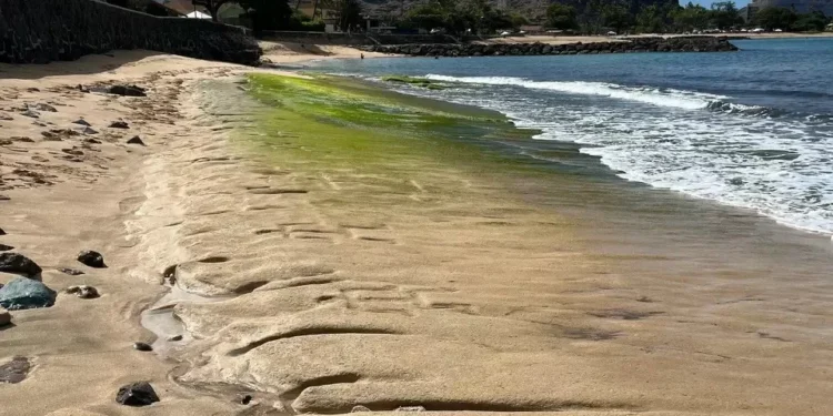Maré baixa revela arte ancestral de 600 anos escondida em praia do Havaí