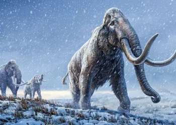 O que explica o fascínio moderno por ressuscitar o mamute-lanoso?