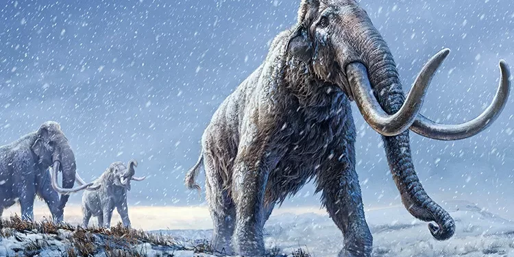 O que explica o fascínio moderno por ressuscitar o mamute-lanoso?