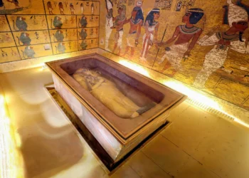 Fungo da tumba de Tutancâmon pode ajudar no combate ao câncer